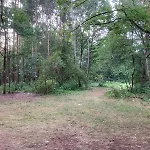 Dom Z Linia Brzegowa Narwi 3 Szygowek