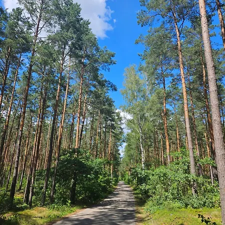 Dom Z Linią Brzegową Narwi 3 Dom wakacyjny Szygowek